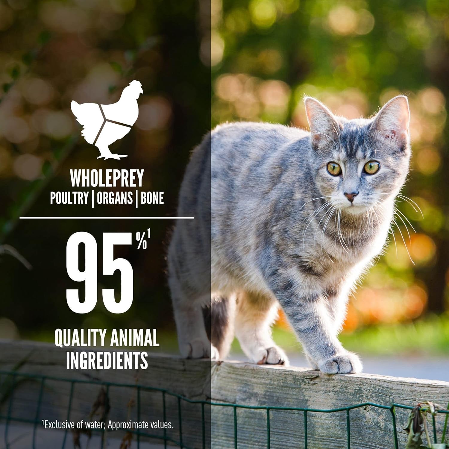 Premium Pate Wet Cat Food in Bone Broth Tuna Salmon & Beef Entrée 3Oz Cans (24 Count)