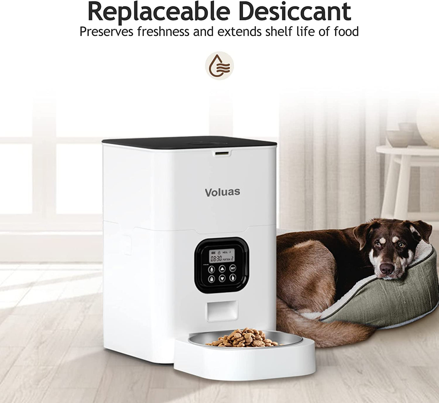 Automatic Pet Feeder - Programmable Timed Dispenser for Cats and Dogs with Portion Control, 4 Meal Settings, and Voice Recording Function