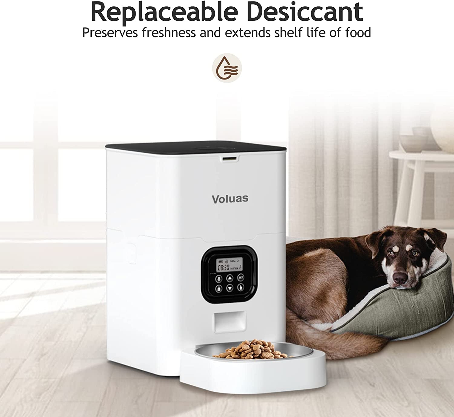 Automatic Pet Feeder - Programmable Timed Dispenser for Cats and Dogs with Portion Control, 4 Meal Settings, and Voice Recording Function