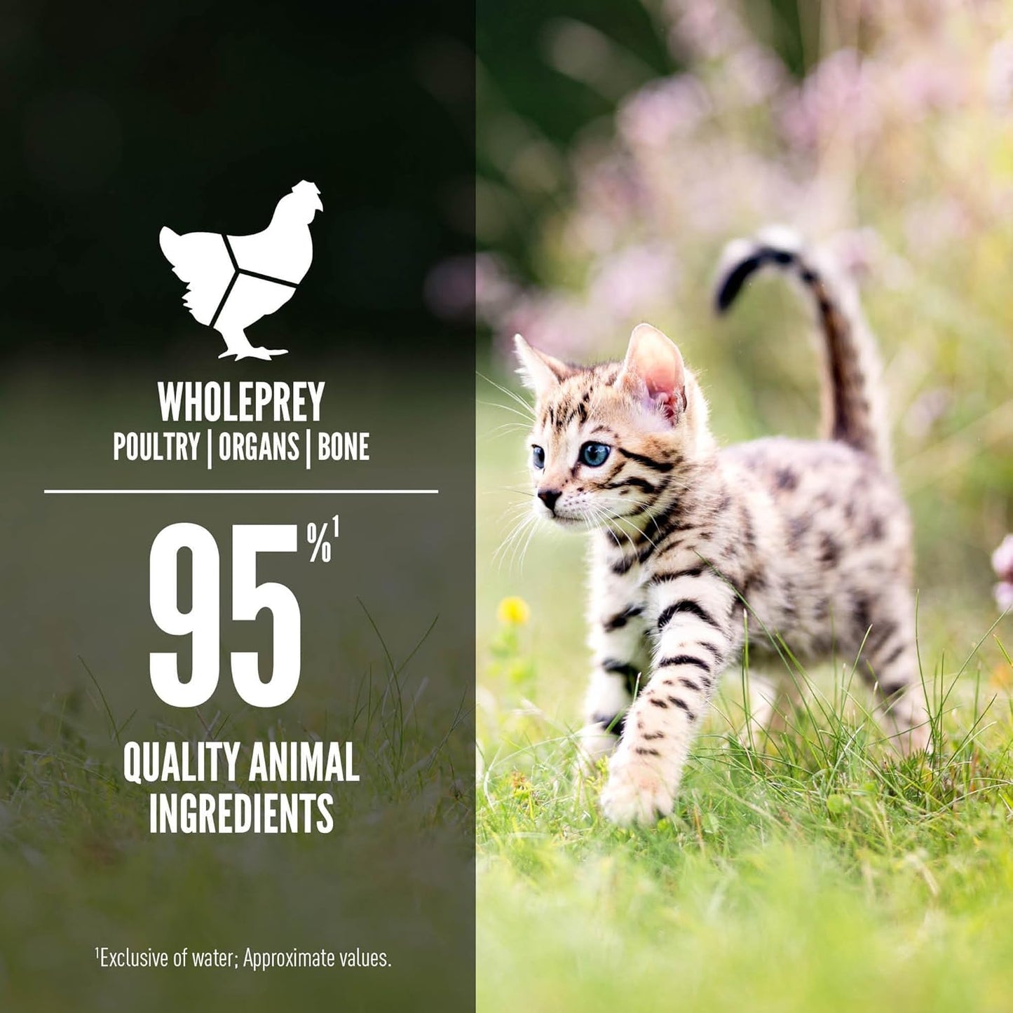 Premium Pate Wet Kitten Cat Food in Bone Broth Chicken & Salmon Entrée 3Oz Cans (24 Count)