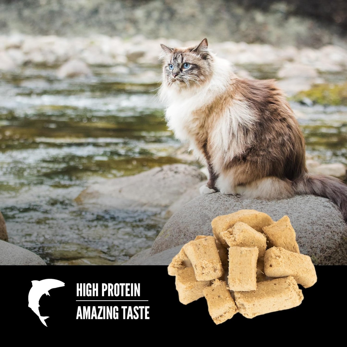 Freeze-Dried Grain-Free Cat Treats with High Protein from Six Types of Fish, 1.25 oz Bag