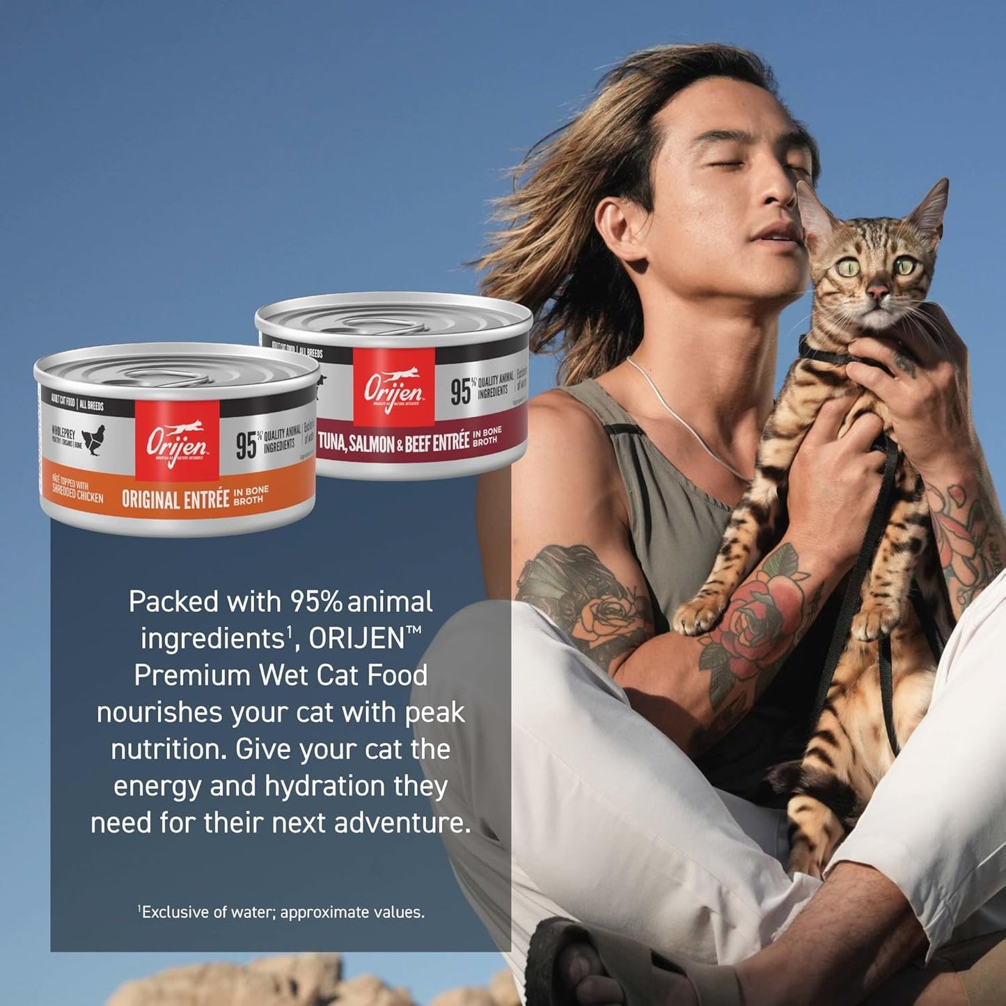 Premium Pate Wet Cat Food Variety Pack: Tuna Salmon & Beef + Original Entrées 3Oz Cans (12 Count, 6 of Each)