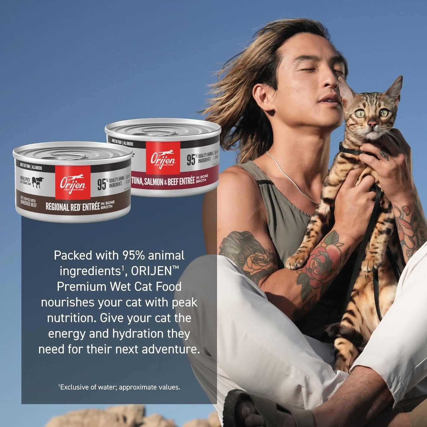 Premium Pate Wet Cat Food Variety Pack: Tuna Salmon & Beef + Regional Red Entrées 3Oz Cans (12 Count, 6 of Each)
