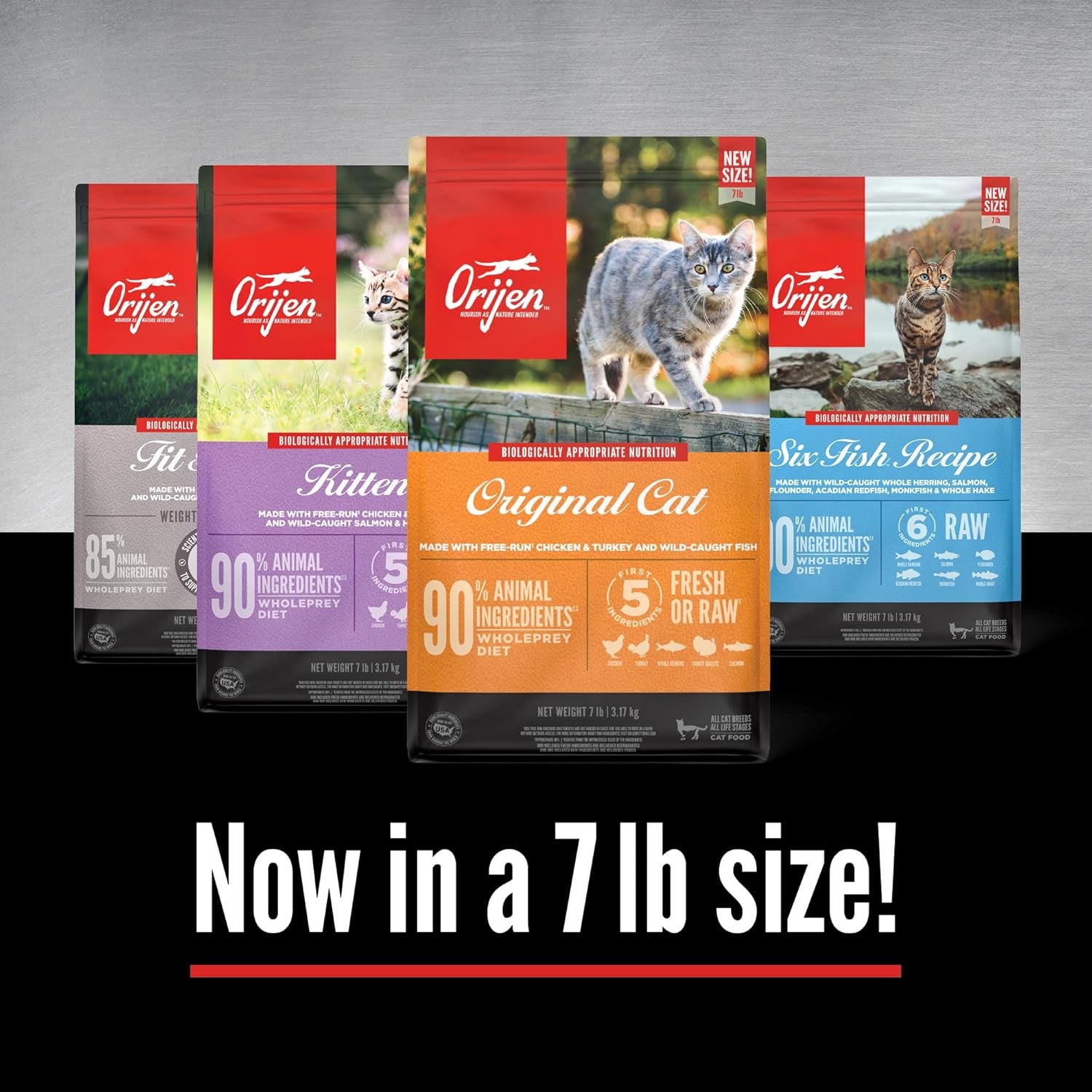 Grain Free High Protein Premium Dry Cat Food Kitten Recipe 7Lb Bag