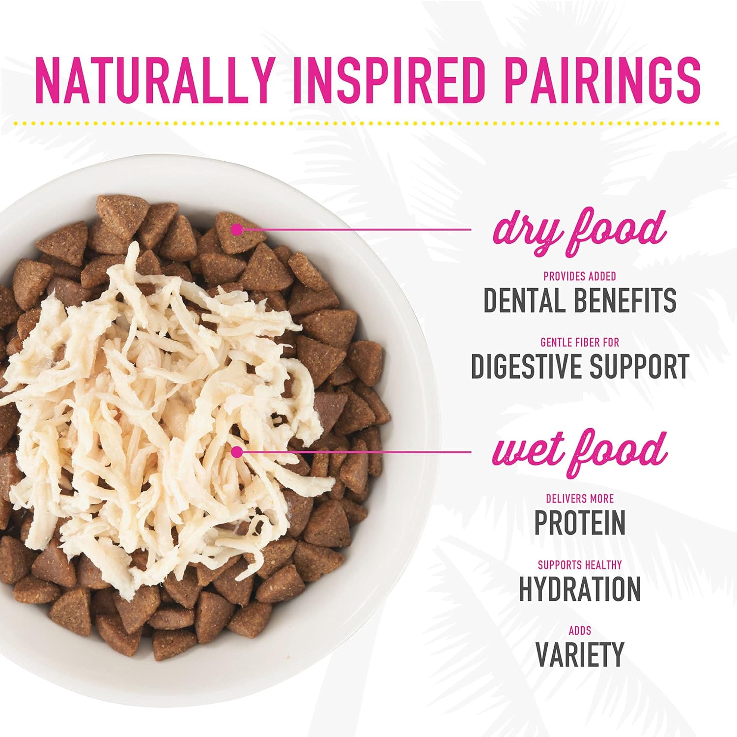 after Dark, Variety Pack, High-Protein and 100% Non-Gmo Ingredients, Wet Cat Food for Adult Cats, 2.8 Oz. Cans (Pack of 12)