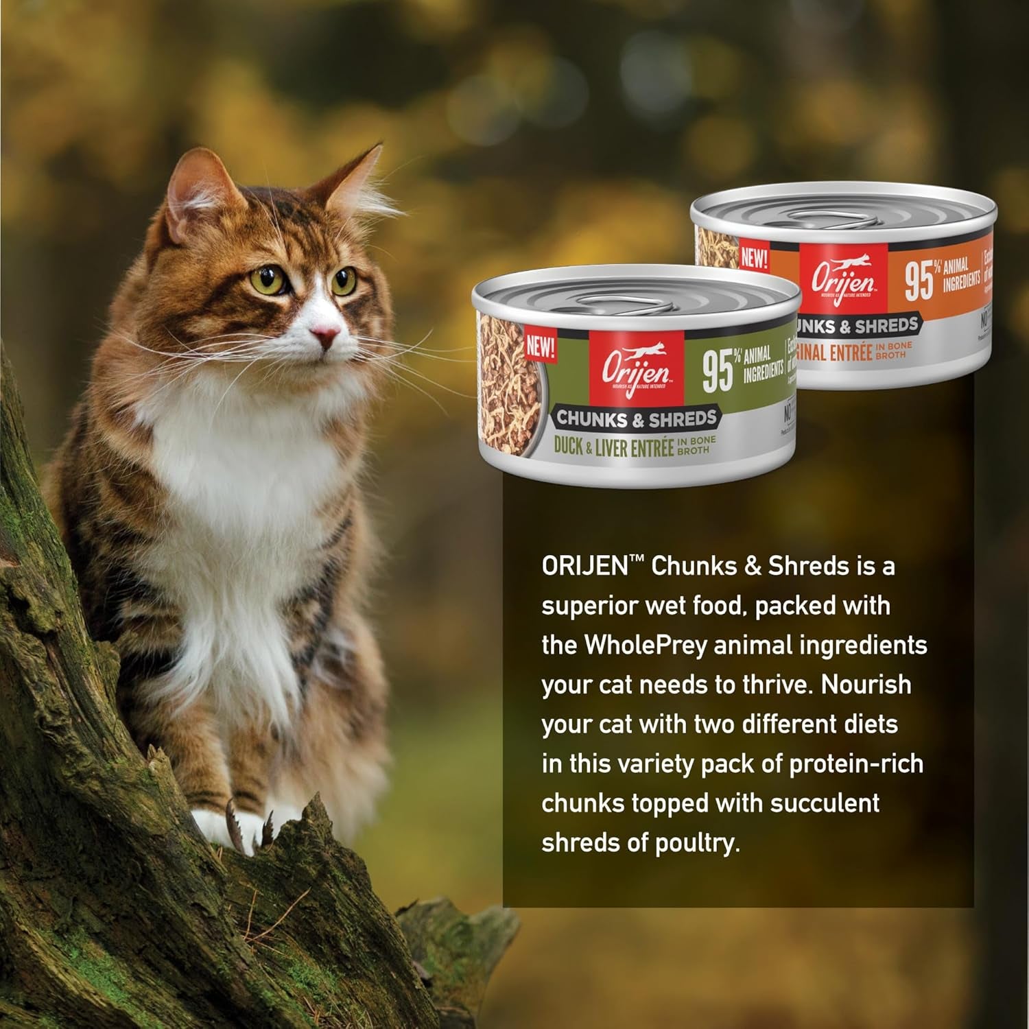 Chunks & Shreds Wet Cat Food Variety Pack: Original + Duck & Liver Recipes 3Oz Cans (12 Count, 6 of Each)