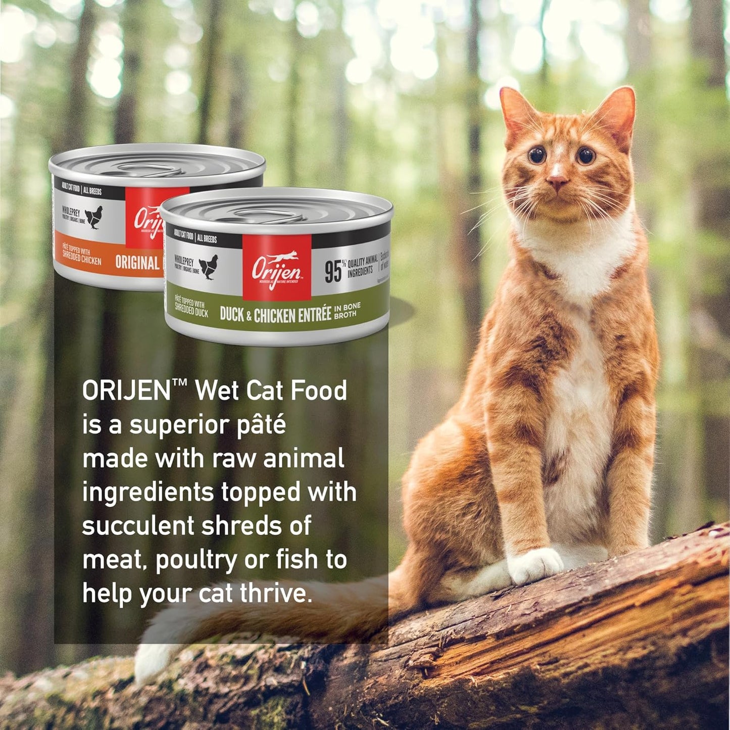 Premium Pate Wet Cat Food Variety Pack: Original + Duck & Chicken Recipes 3Oz Cans (12 Count, 6 of Each)