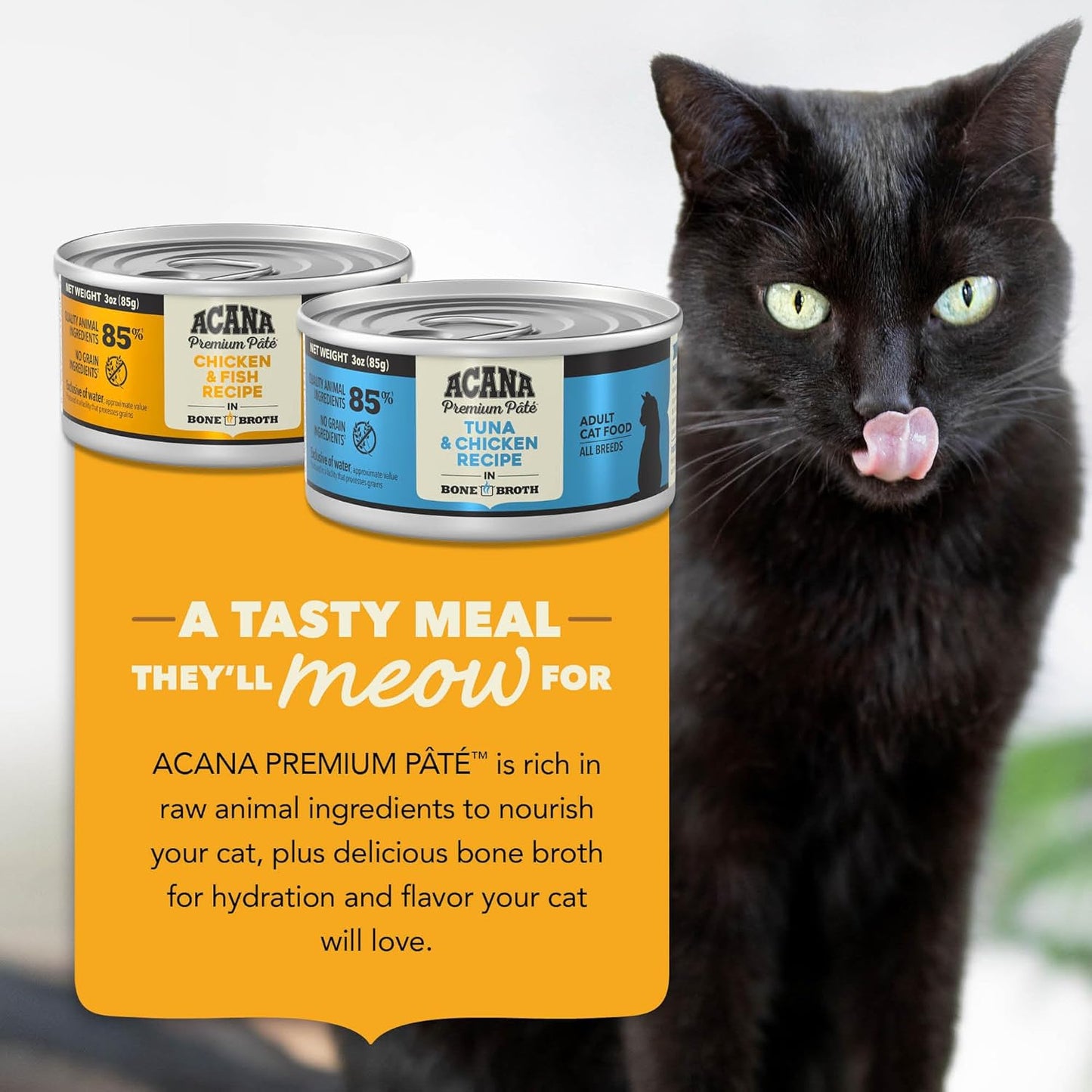 Premium Pate Wet Cat Food in Bone Broth Variety Pack: Chicken & Fish + Beef Chicken & Tuna Recipes 3Oz Cans (12 Count, 6 of Each)